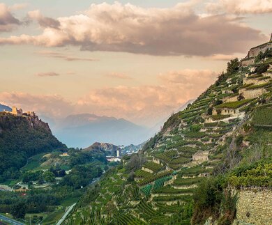 Weinweg Wallis | © © Valais Wallis Promotion / Christian Pfammatter