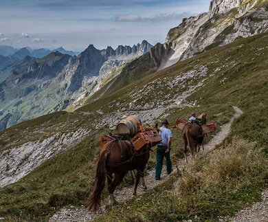 Whisky Trek in der Schweiz