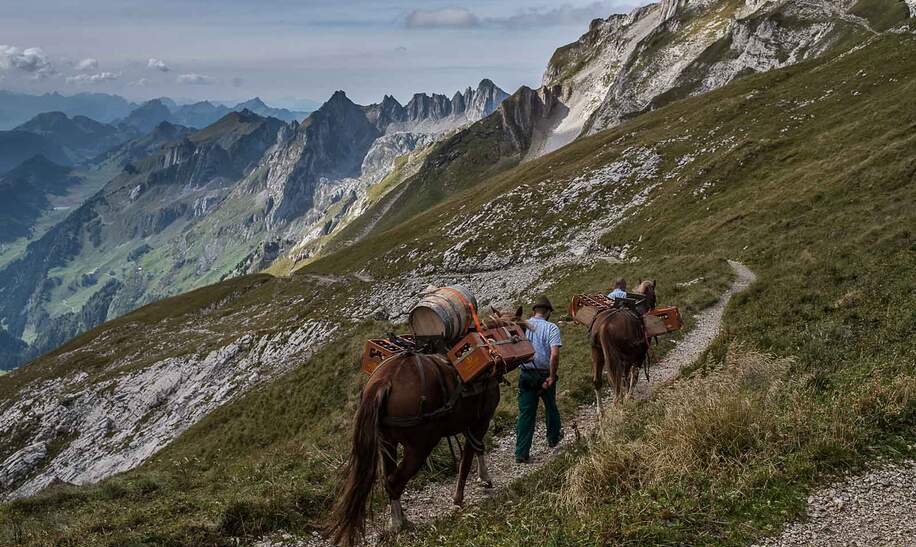 Whisky Trek in der Schweiz