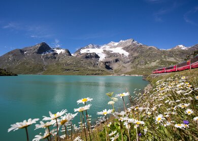 Bernina_Express_7