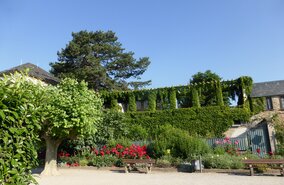 Rhein_Radweg_Eltville