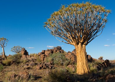 Namibialandscape