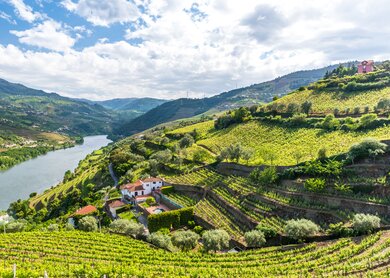 Douro Tal | © GettyImages.com/Simon Dannhauser Douro Tal | © GettyImages.com/Simon Dannhauser