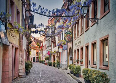 Straße in Freiburg | © Pixabay.com/Paul_Henri Strasse in Freiburg im Frühling mit fluehenden Blumen | © Pixabay.com/Paul_Henri