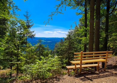 Natürlicher Aussichtspunkt mit einer Holzbank im Vordergrund in der Nähe von Bodenmais im Bayerischen Wald | © © Gettyimages.com/Eisenlohr