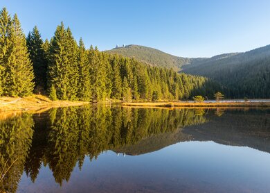 Kleiner Arber See im Bayerischen Wald mit Blick auf den Großen Arber  | © © Gettyimages.com/StGrafix