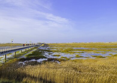 Kuestenlandschaft von St. Peter-Ording Deutschland | © Gettyimages.com/pusteflower9024 Kuestenlandschaft von St. Peter-Ording Deutschland, mit Steg durchs Wasser | © Gettyimages.com/pusteflower9024