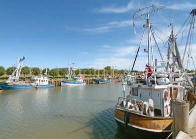 Hafen Buesum | © Gettyimages.com/eurotravel Hafen mit Fischerboten, Buesum an der Nordsee, Schleswig-Holstein | © Gettyimages.com/eurotravel