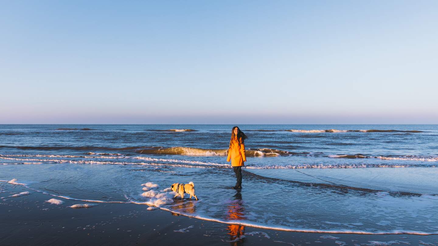 Junge Frau macht sich einen schönen Familientag am Strand spielen mit ihrem Hund  | © Gettyimages.com/anastasiiashavshyna Frau mit langen Haaren und in orangefarbenem Regenmantel und ihr kleiner Hund - Mopsrasse haben eine tolle Zeit am Strand, spielen mit Wellen, laufen und laufen  | © Gettyimages.com/anastasiiashavshyna