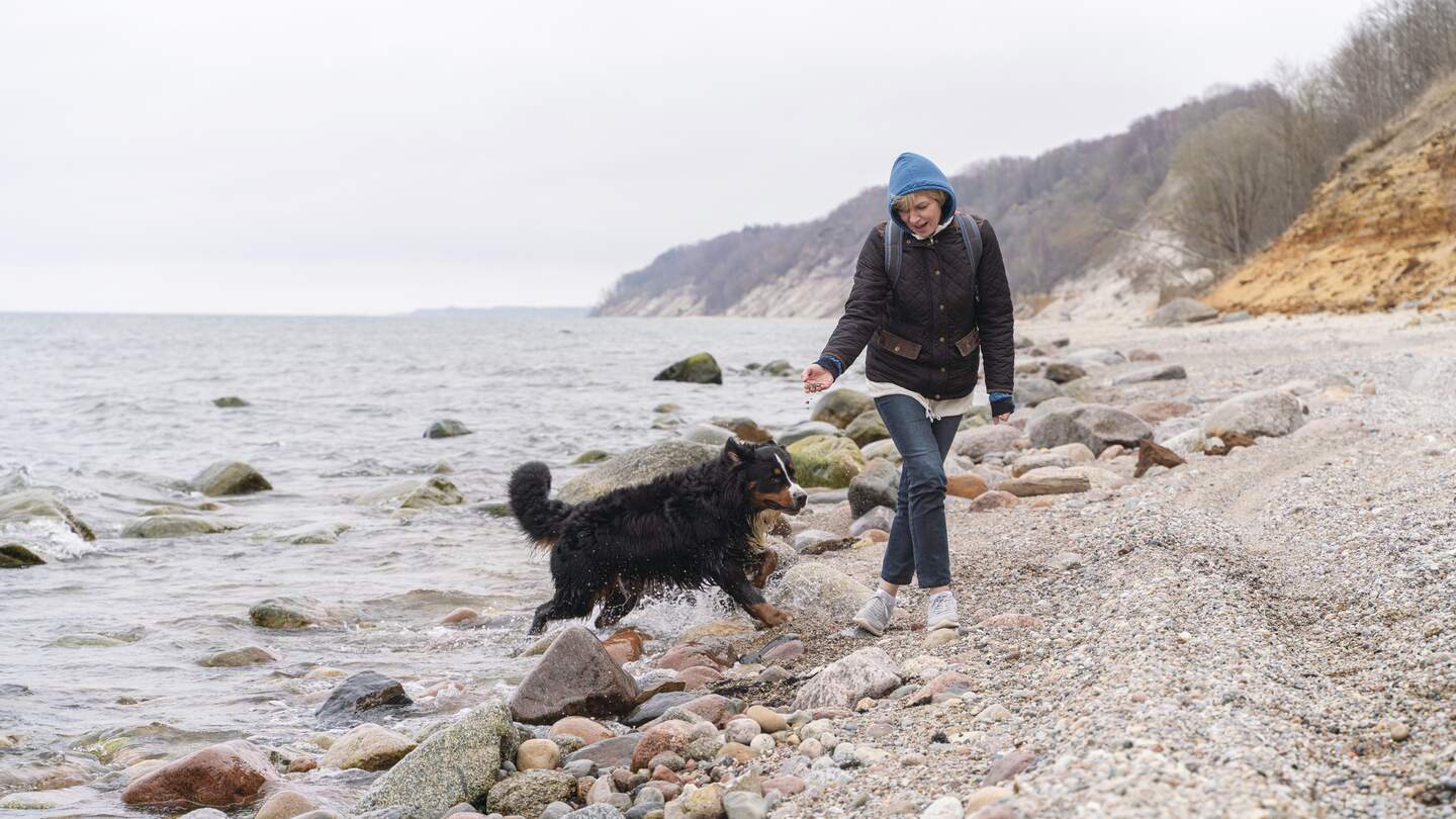 Die reife Frau geht im Winter mit ihrem belgischen Zennenhund an der felsigen und sandigen Küste der Ostsee spazieren. | © Gettyimages.com/potemkin