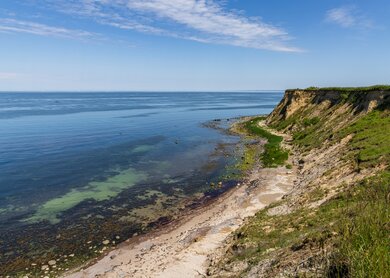 Die Ostseeküste mit den Klippen von Boltenhagen, Mecklenburg-Vorpommern, Deutschland | © Gettyimages.com/berndbrueggemann
