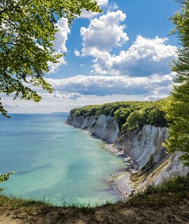 Kreidefelsen von Rügen im Sommer | © Gettyimages.com/RicoK69