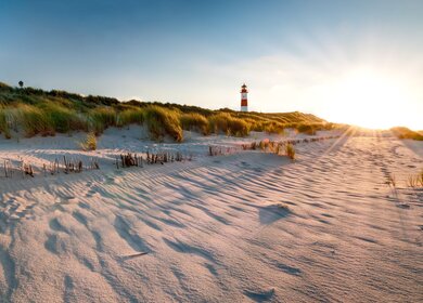 Ein rot weißer Leuchtturm in den Dünen, die Sonne geht unter und taucht die Grashalme auf den Dünen in goldfarbenes Licht | © Gettyimages.com/mthaler