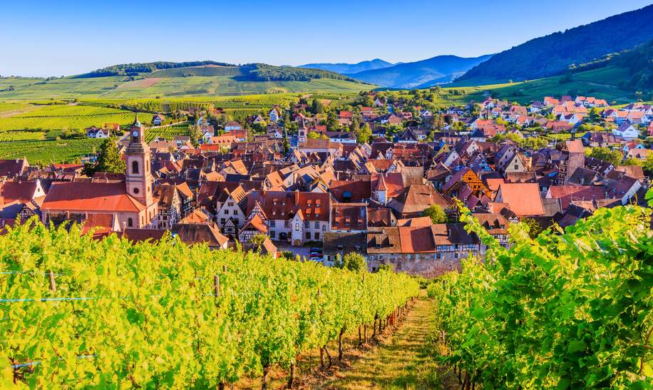 Riquewihr, Elsass, Frankreich.  | © Gettyimages.com/scstock Riquewihr, Frankreich. Landschaft mit Weinbergen in der Nähe des historischen Dorfes. Die elsässische Weinstraße. | © Gettyimages.com/scstock