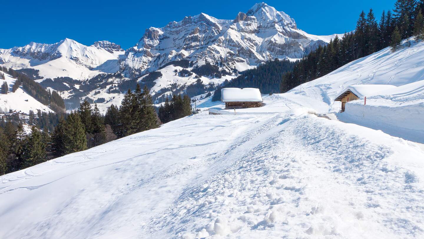 Wunderschoene Aussicht auf die Berner Alpen, Adelboden | © Gettyimages.com/gevision Wunderschoene Aussicht auf den Schweizer Alpen, Berner Alpen, Adelboden | © Gettyimages.com/gevision
