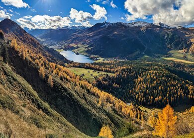 Schöne Herbstwanderung über dem Davosersee. Farbige Lärchenwälder. Bergpanorama in Davos Klosters Mountains.  | © Gettyimages.com/ganztwins
